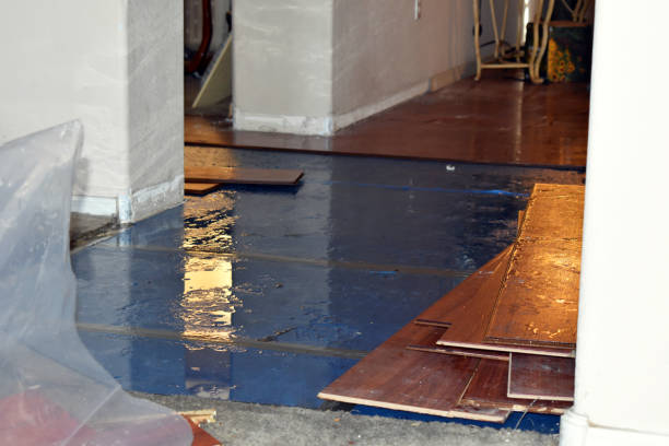 Professional Basement Water Removal technician working in Islip, NY